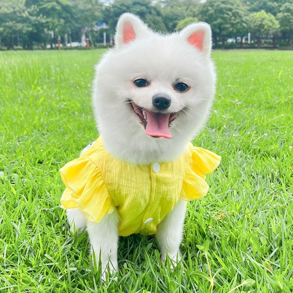 Breathable Pet Tank Top Cute Pet Vest Bulldogs Summer Dog Shirt Vest for Dogs/Cat S жовтий
Breathable Pet Tank Top Cute Pet Vest Bulldogs Summer Dog Shirt Vest for Dogs/Cat S жовтий