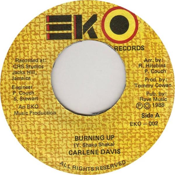 7inch Record CARLENE DAVIS - Burning Up EKO002 EKO Records 1988 Jamaica Reggae, Ska & Dub Used
7inch Record CARLENE DAVIS - Burning Up EKO002 EKO Records 1988 Jamaica Reggae, Ska & Dub Used