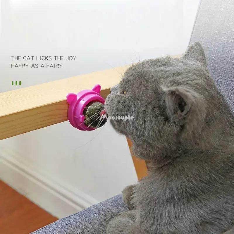 Cats Toys for Cats Wall Sticky Ball Pet Tickle Snacks Remove Balls Promote Digestion Natural Catnip Healthy Home Accessories Cas синий
Cats Toys for Cats Wall Sticky Ball Pet Tickle Snacks Remove Balls Promote Digestion Natural Catnip Healthy Home Accessories Cas синий
