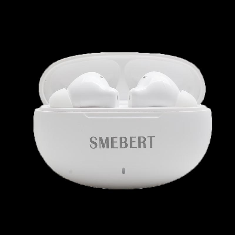 Schumannbert D18 True Wireless Earbuds
Schumannbert D18 True Wireless Earbuds