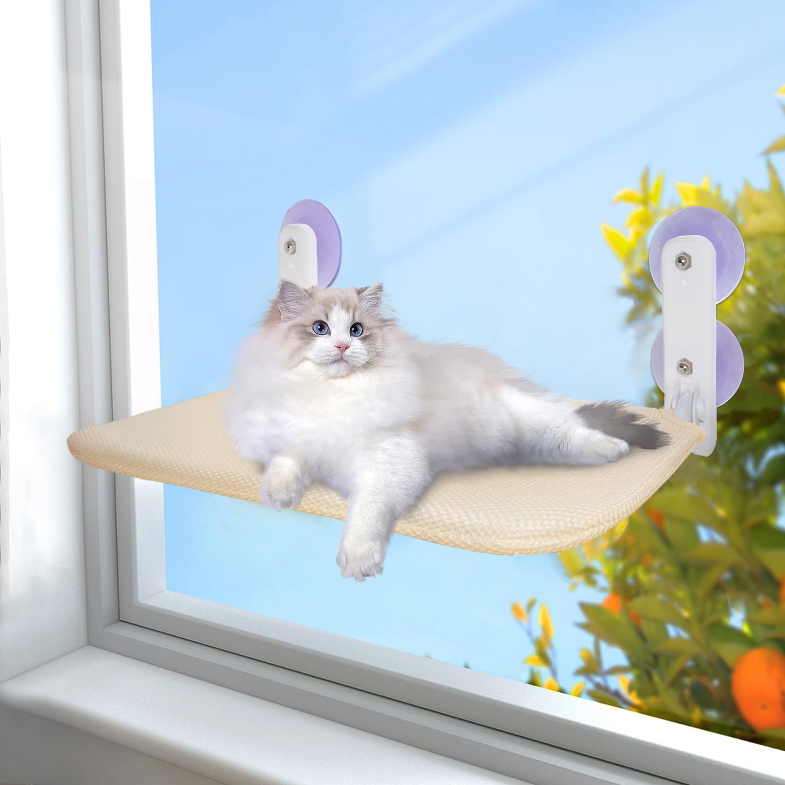 Kickred Cat Window Suction Cup Wall Cat Window Window Weight Capacity Cat Window Instructions Included Hammock, Type, Mounted, Bed, Bed, Foldable, бежевий
Kickred Cat Window Suction Cup Wall Cat Window Window Weight Capacity Cat Window Instructions Included Hammock, Type, Mounted, Bed, Bed, Foldable, бежевий