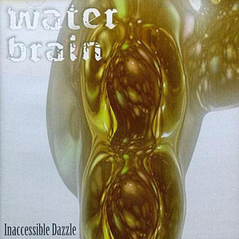 CD WATER BRAIN - Inaccessible Dazzle RED042 Redrum Recordz 2012 UK Reggae, Ska & Dub
CD WATER BRAIN - Inaccessible Dazzle RED042 Redrum Recordz 2012 UK Reggae, Ska & Dub
