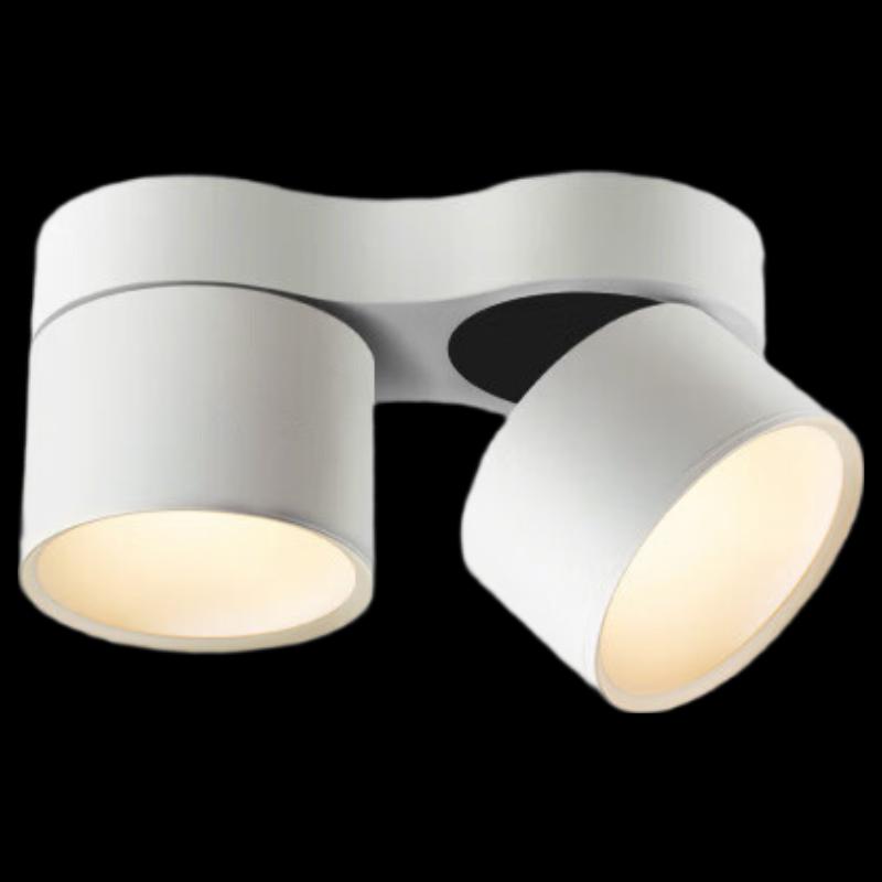 Folding Double-Head Surface Mounted Downlight
Folding Double-Head Surface Mounted Downlight