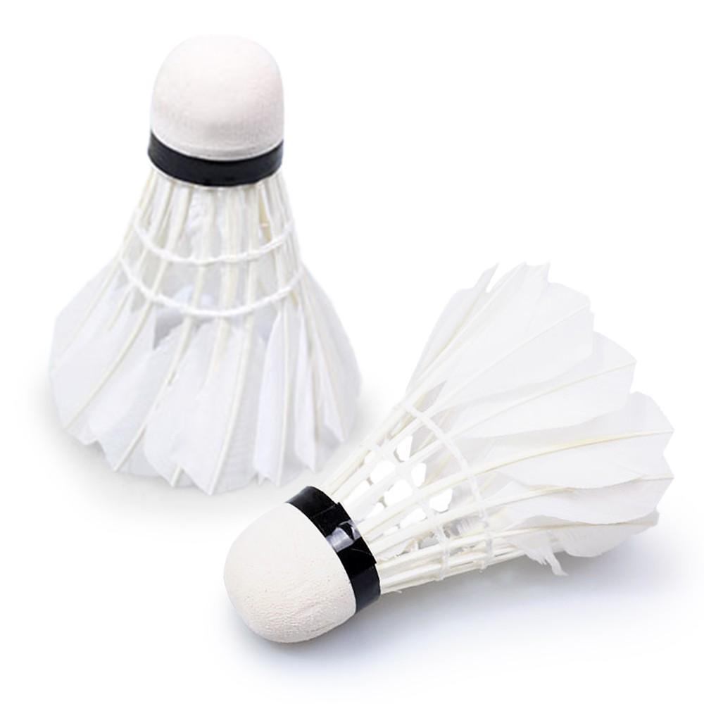 12Pcs Feather Badminton Shuttlecocks High Speed Badminton Balls for Indoor Outdoor Sports Type A
12Pcs Feather Badminton Shuttlecocks High Speed Badminton Balls for Indoor Outdoor Sports Type A