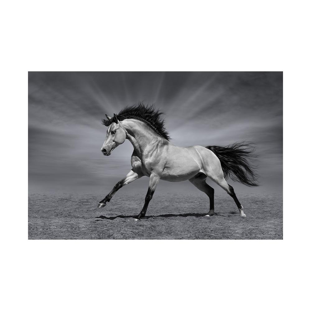 Modern Simple Wall Art Running White Horses Sunset Scenery HD Canvas Printing Poster Home Living Room Bedroom Decoration 30x40cm
Modern Simple Wall Art Running White Horses Sunset Scenery HD Canvas Printing Poster Home Living Room Bedroom Decoration 30x40cm