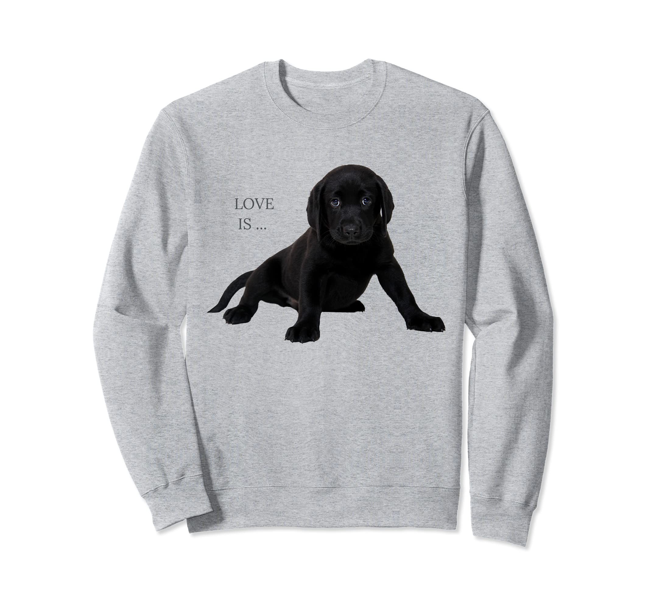 Черная футболка с изображением лабрадора-ретривера Love Lab Mom Dad Chocolate Sweatshirt
Черная футболка с изображением лабрадора-ретривера Love Lab Mom Dad Chocolate Sweatshirt