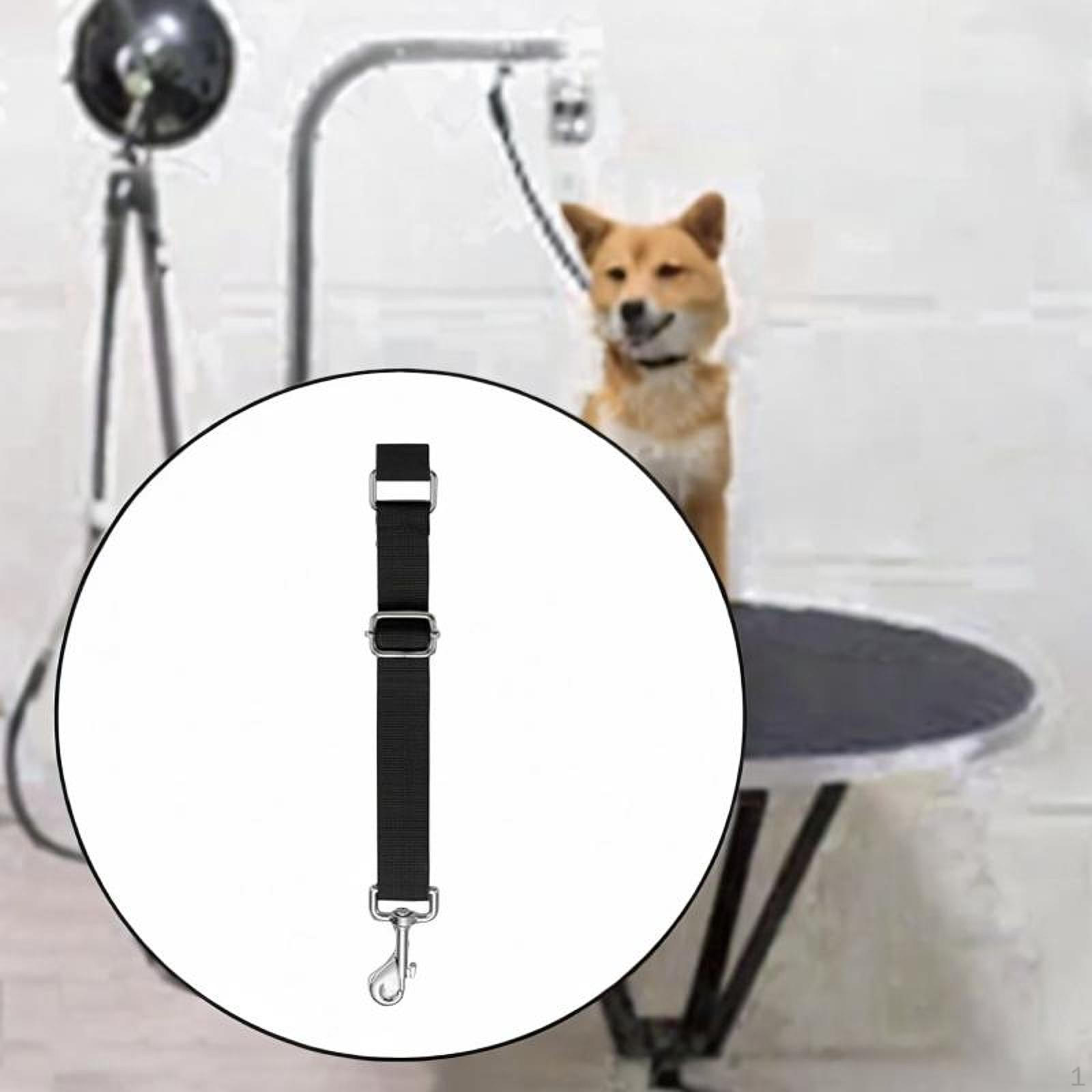 Dog Care Extension Belt Leash Easy to Use Groomer Helper for Small Medium -sized And Large сірий колір
Dog Care Extension Belt Leash Easy to Use Groomer Helper for Small Medium -sized And Large сірий колір