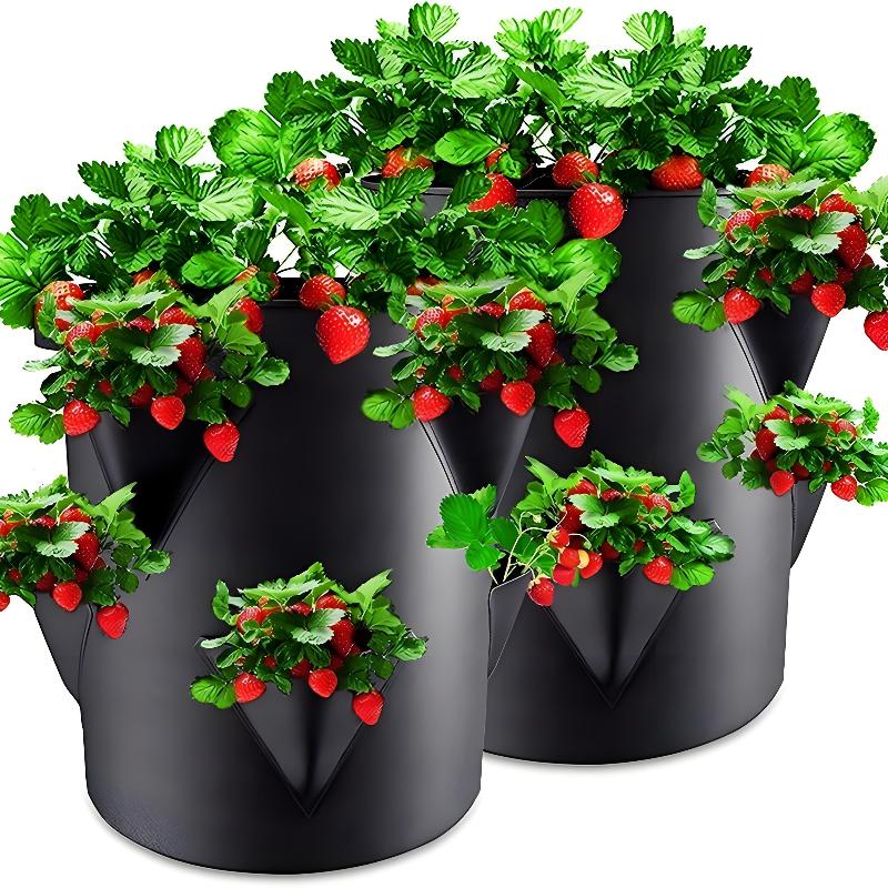 7 Gallons Strawberry Planting Bag Grow Bag With 6 Side Grow Pocket Portable Tomato Planting Bags Strawberry Pots Planting Pots чёрный
7 Gallons Strawberry Planting Bag Grow Bag With 6 Side Grow Pocket Portable Tomato Planting Bags Strawberry Pots Planting Pots чёрный