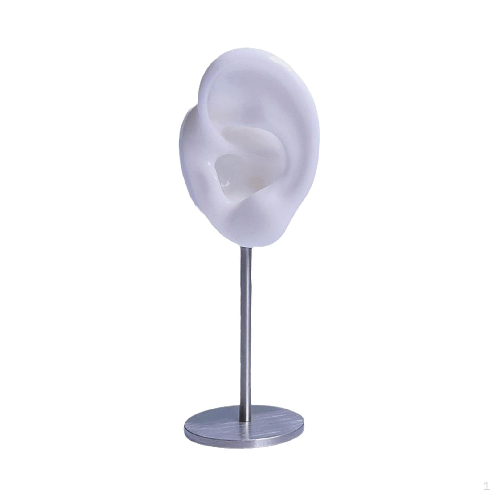 Earring Display Holder, Desktop Decor Ear Model Stud Showcase Jewelry Height 12cm
Earring Display Holder, Desktop Decor Ear Model Stud Showcase Jewelry Height 12cm