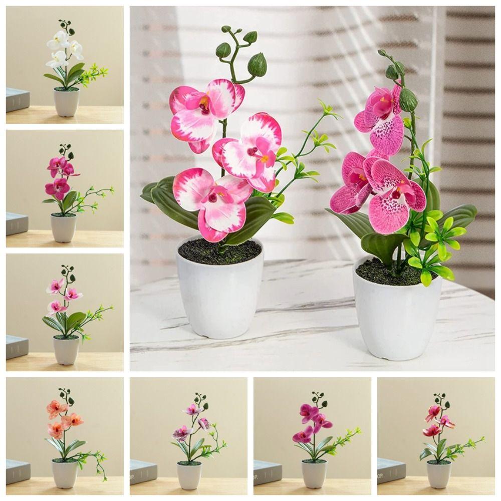 Three Flower Artificial Orchids with Pot Simulation Flower Creative Phalaenopsis Bonsai Office
Three Flower Artificial Orchids with Pot Simulation Flower Creative Phalaenopsis Bonsai Office