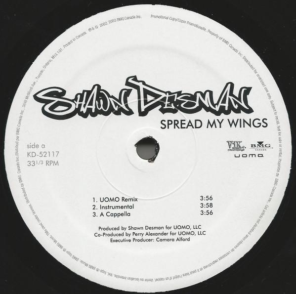 12-дюймовая пластинка SHAWN DESMAN Spread My Wings KD52117PROMO Vik Recordings 2003 Канада Рэп Хип-Хоп R&B Б/у
12-дюймовая пластинка SHAWN DESMAN Spread My Wings KD52117PROMO Vik Recordings 2003 Канада Рэп Хип-Хоп R&B Б/у