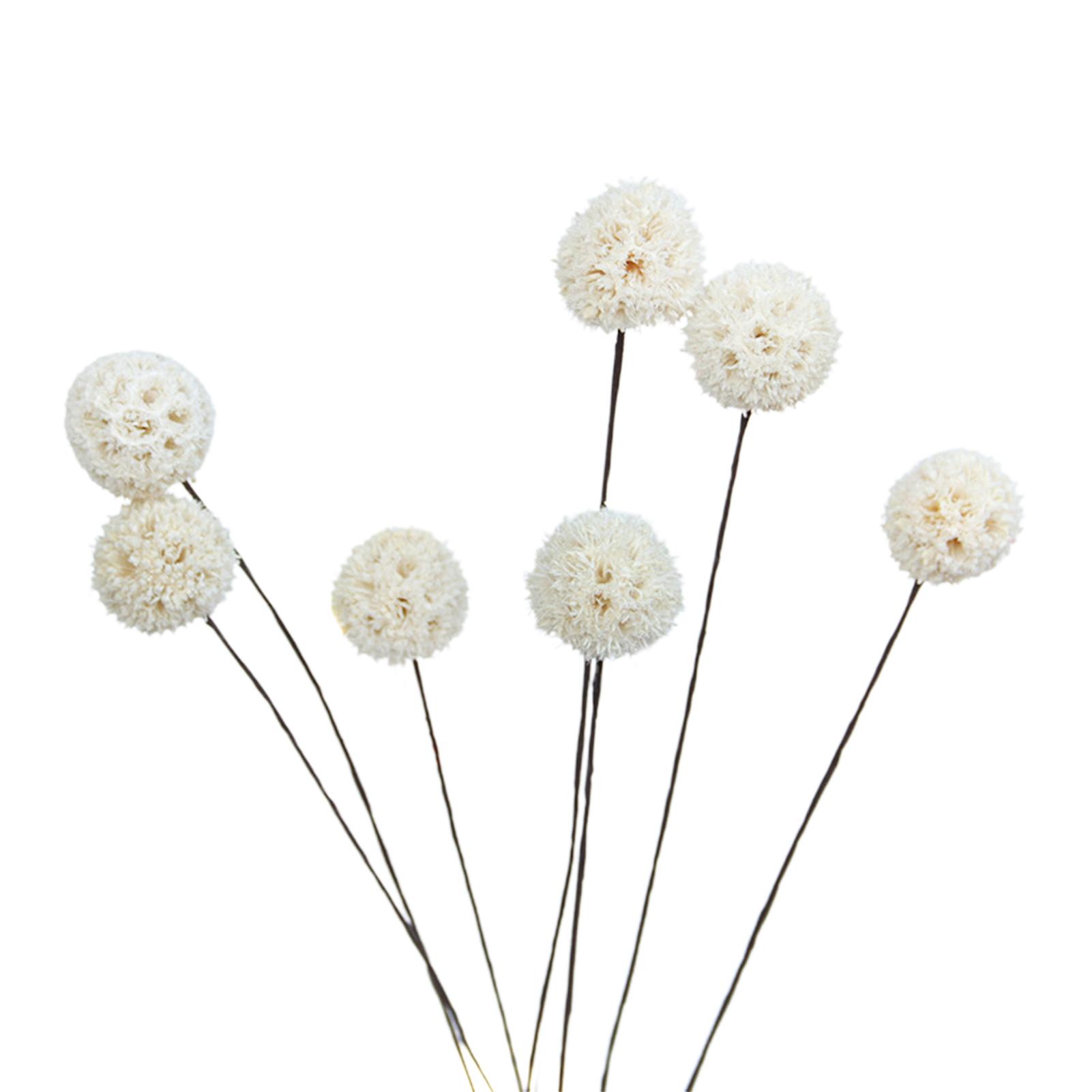 Цветы Билли Болла Сухоцветы Искусственные сухоцветы Украшения для дома и сада
Цветы Билли Болла Сухоцветы Искусственные сухоцветы Украшения для дома и сада