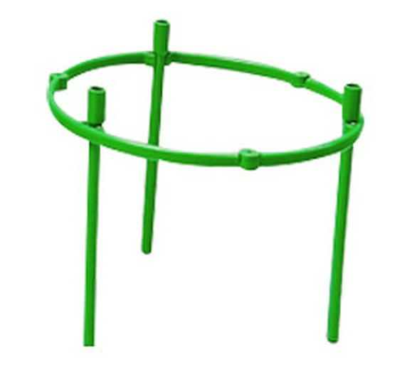 Пластикова підтримка для рослин Підставка для квітів Регульована кімнатна решітка для витких рослин
Пластикова підтримка для рослин Підставка для квітів Регульована кімнатна решітка для витких рослин