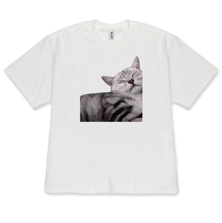 Kawaii Sleeping Cat TShirt Cute Cat Relaxing Tee Casual Short Sleeve for Unisex Women Cat Lover Gift Top Fashion Versatile Y2k S
Kawaii Sleeping Cat TShirt Cute Cat Relaxing Tee Casual Short Sleeve for Unisex Women Cat Lover Gift Top Fashion Versatile Y2k S