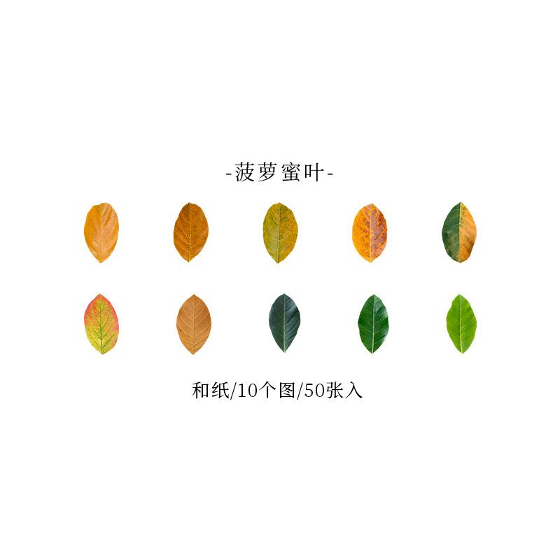 50 pcs Yellow Autumn Leaves Series, Creative Plant Stickers for Hand Account Decoration
50 pcs Yellow Autumn Leaves Series, Creative Plant Stickers for Hand Account Decoration