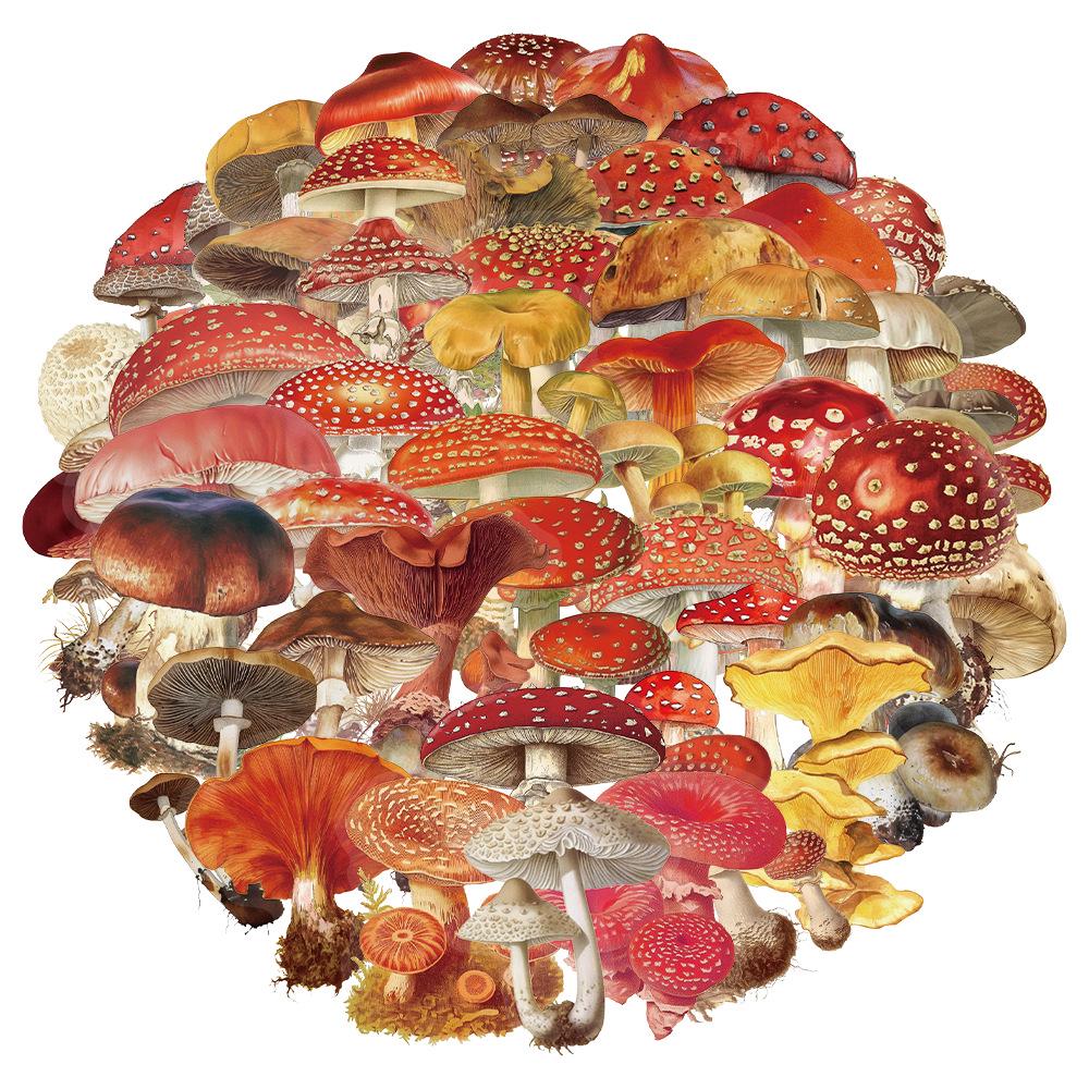 50 Creative Retro Mushroom Transparent PET Stickers for Journaling & Decoration
50 Creative Retro Mushroom Transparent PET Stickers for Journaling & Decoration