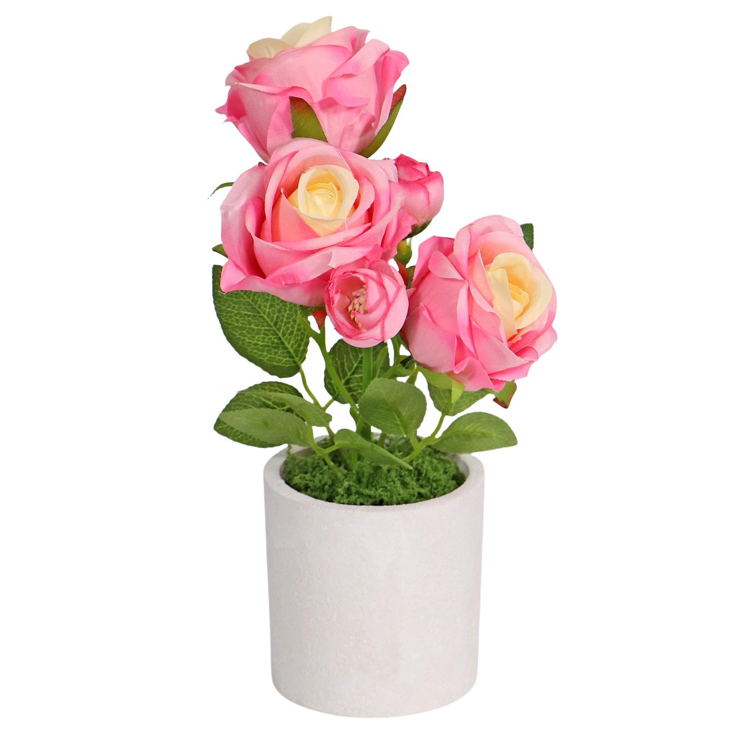 Растение в горшке Moss Rose Ресторан Обеденный стол Стойка регистрации Окно Стол Украшение сада во дворе розовый
Растение в горшке Moss Rose Ресторан Обеденный стол Стойка регистрации Окно Стол Украшение сада во дворе розовый