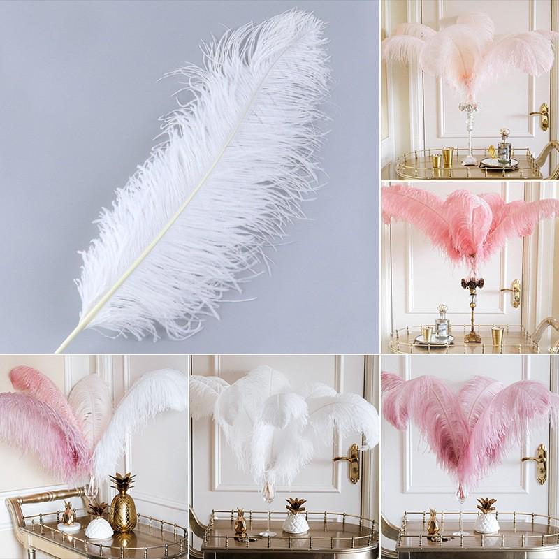 High-Quality Ostrich Feathers for Crafts and Wedding Decorations (15-80 cm) High-Quality Thin Stem 20-25 cm
High-Quality Ostrich Feathers for Crafts and Wedding Decorations (15-80 cm) High-Quality Thin Stem 20-25 cm