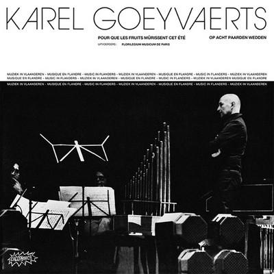 LP Record KAREL GOEYVAERTS - Pour Que Les Fruits Murissent Cet E 2CACKLP Finders Keepers 2013 UK Dance & Electronica
LP Record KAREL GOEYVAERTS - Pour Que Les Fruits Murissent Cet E 2CACKLP Finders Keepers 2013 UK Dance & Electronica