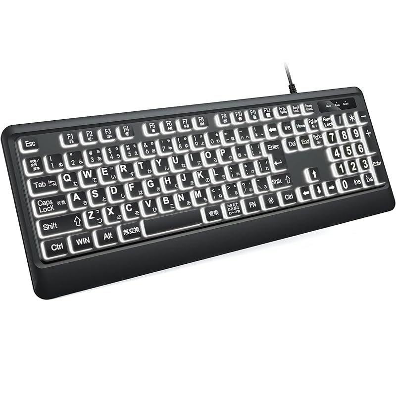 DHKBL Full size keyboard with large font illuminated white LED, quiet USB wired computer keyboard, foldable stand, wired full size keyboard 108K
DHKBL Full size keyboard with large font illuminated white LED, quiet USB wired computer keyboard, foldable stand, wired full size keyboard 108K