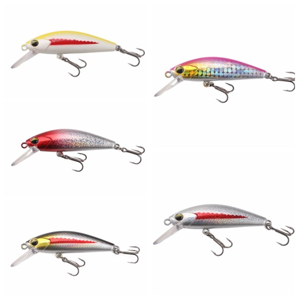 Приманка для ловли рыбы на приманку Sink Lure Bait 5.5cm Minnow Fishing Lure Fishing Equipment Product Bamino Bait Carp C
Приманка для ловли рыбы на приманку Sink Lure Bait 5.5cm Minnow Fishing Lure Fishing Equipment Product Bamino Bait Carp C