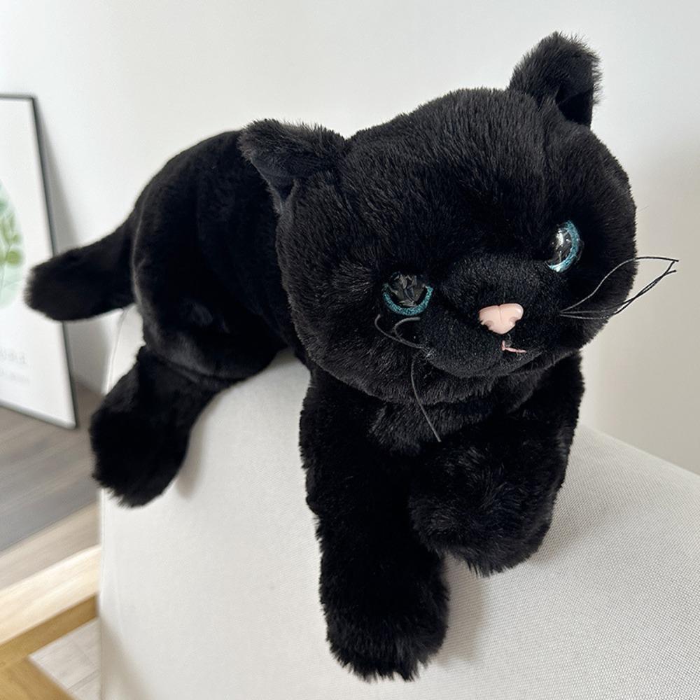 Поверженный кот, черный кот, кукла, 50 см, мягкая игрушка, подарки на день рождения, плюшевая игрушка для кошек, дети
Поверженный кот, черный кот, кукла, 50 см, мягкая игрушка, подарки на день рождения, плюшевая игрушка для кошек, дети