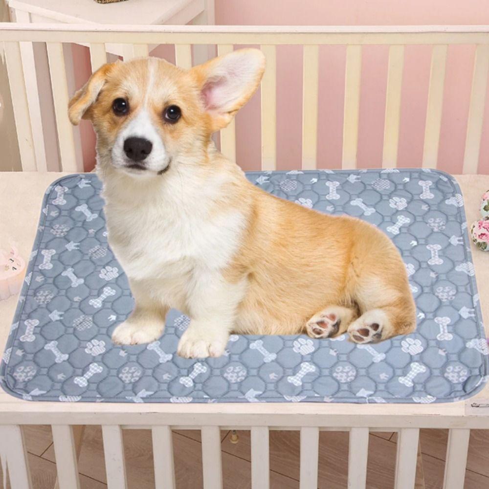 Absorbent Dog Urine Mat Washable Cat Training Diaper Mat Puppy Pads Mat Car Seat Sofa Home M сірий
Absorbent Dog Urine Mat Washable Cat Training Diaper Mat Puppy Pads Mat Car Seat Sofa Home M сірий