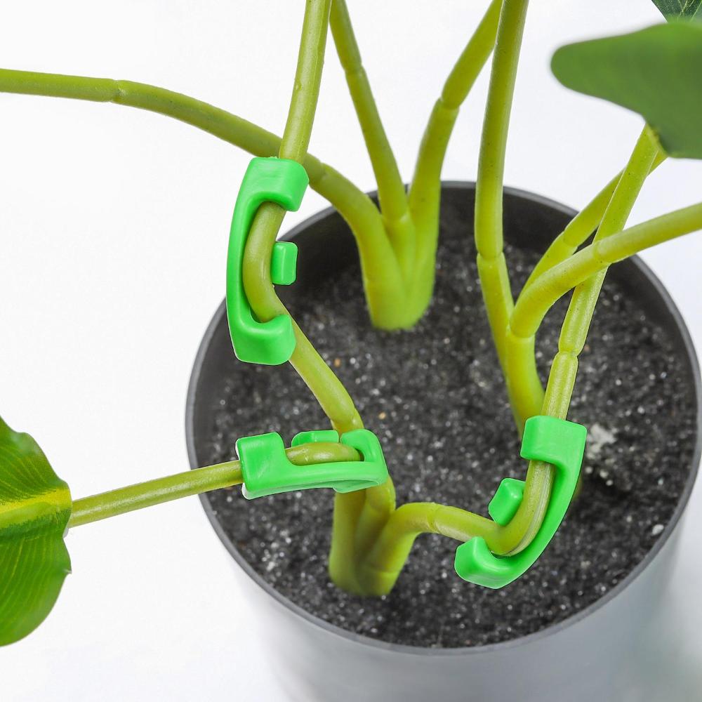Twig Clamps Growth Manipulation kit Plant Trainer for Low Stress Training 90 Degree Plant Benders зелений
Twig Clamps Growth Manipulation kit Plant Trainer for Low Stress Training 90 Degree Plant Benders зелений