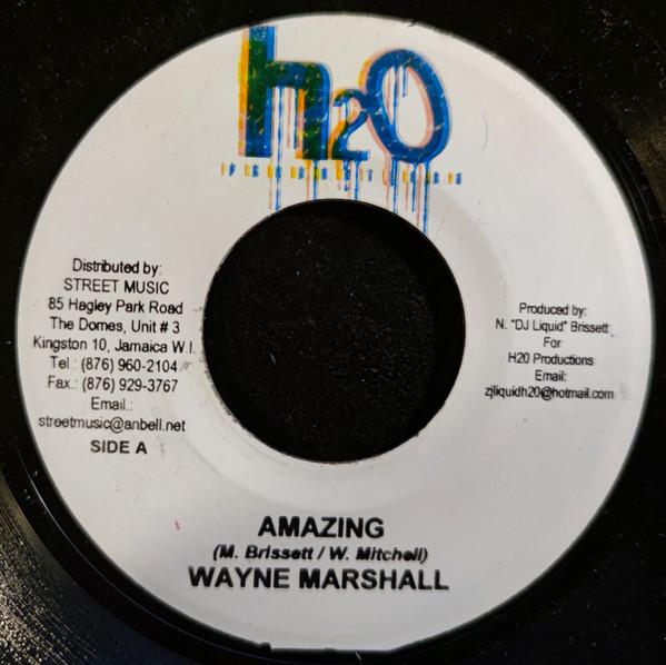 7inch Record WAYNE MARSHALL / MUNGA & BUGLE - Amazing / Legal Gun NONE H2O Productions Jamaica Reggae, Ska & Dub Used
7inch Record WAYNE MARSHALL / MUNGA & BUGLE - Amazing / Legal Gun NONE H2O Productions Jamaica Reggae, Ska & Dub Used