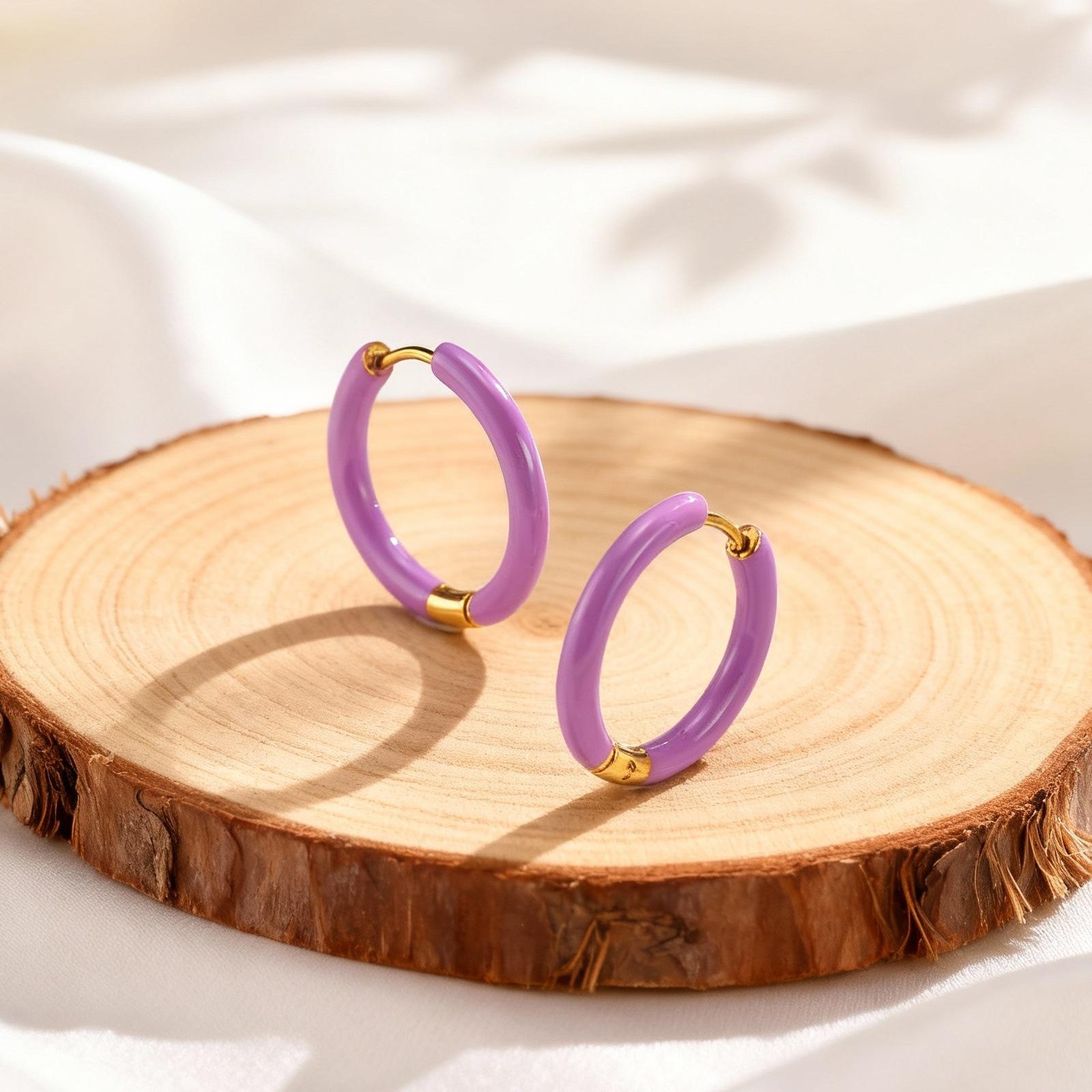 Multi-colored Stainless Steel Hoop Earrings,Elegant Geometric Earrings for Women,Female Jewelry Party Gifts
Multi-colored Stainless Steel Hoop Earrings,Elegant Geometric Earrings for Women,Female Jewelry Party Gifts
