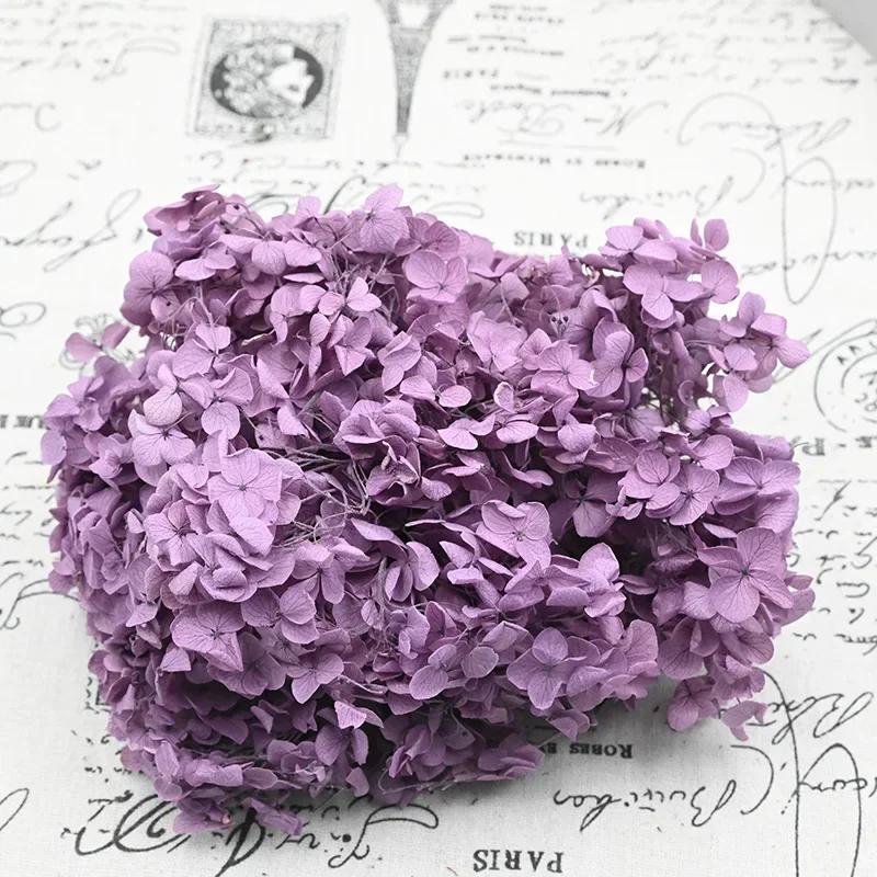 Level A 20g Eternal Flower Hydrangea Fresh Immortal Flower DIY Valentine S Day Gift Wedding Arrangement Party Decor Home Decor
Level A 20g Eternal Flower Hydrangea Fresh Immortal Flower DIY Valentine S Day Gift Wedding Arrangement Party Decor Home Decor
