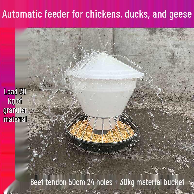 Stainless Steel Anti-Spill Automatic Feeder for Chickens, Ducks, and Geese
Stainless Steel Anti-Spill Automatic Feeder for Chickens, Ducks, and Geese