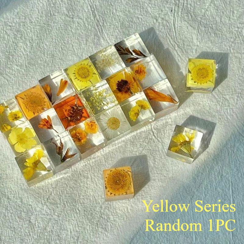 2025 5/10/20Pcs Handmade Desk Decoration DIY Eternal Flower Creative Plant 3D Specimen Squares Gift Ornament Randomly 16MM 5Pcs
2025 5/10/20Pcs Handmade Desk Decoration DIY Eternal Flower Creative Plant 3D Specimen Squares Gift Ornament Randomly 16MM 5Pcs