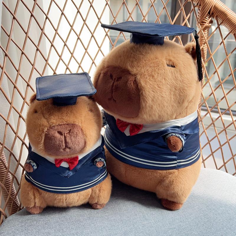 Capybara Graduation Teddy Bear Plush Toy With Scholar Outfit For Students Gift 25cm
Capybara Graduation Teddy Bear Plush Toy With Scholar Outfit For Students Gift 25cm