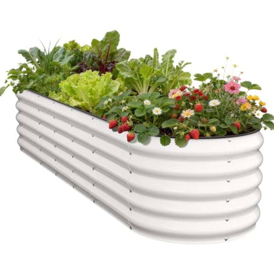 Oval Galvanized Metal Raised Garden Bed 8x2x1.5 FT Outdoor Planter Box for Vegetables Herbs Flowers Rust-Resistant Steel Open B United States
Oval Galvanized Metal Raised Garden Bed 8x2x1.5 FT Outdoor Planter Box for Vegetables Herbs Flowers Rust-Resistant Steel Open B United States