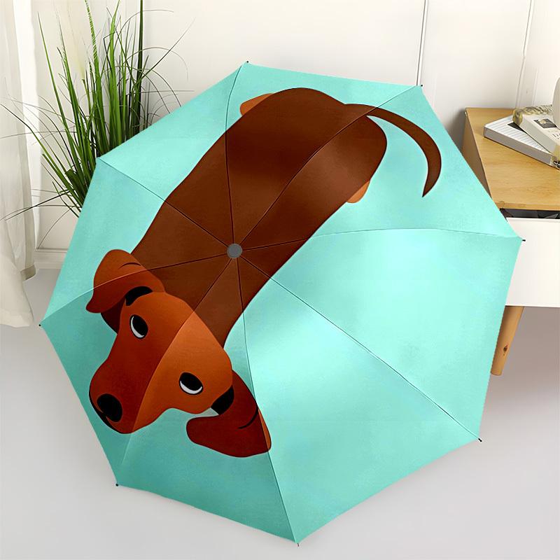 Dachshund, Cartoon- Automatic Umbrella, Four Seasons Portable Folding Umbrella, Suitable for Men and Women, Travel, Daily Compact Umbrella,
Dachshund, Cartoon- Automatic Umbrella, Four Seasons Portable Folding Umbrella, Suitable for Men and Women, Travel, Daily Compact Umbrella,