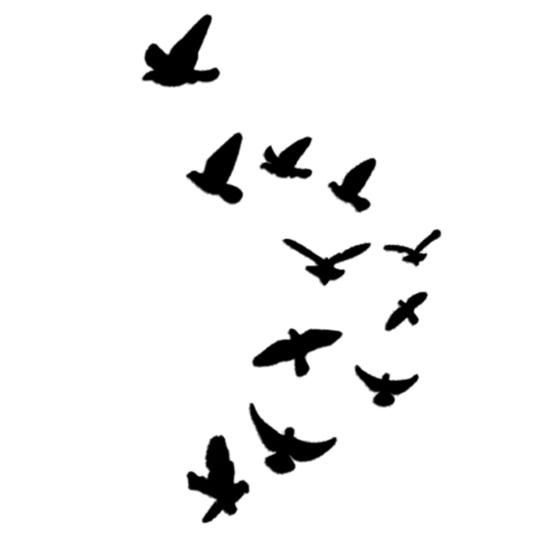 11 шт./комплект Наклейка на стіну Широке застосування Зручний акриловий птах Яскравий 3D чорний
11 шт./комплект Наклейка на стіну Широке застосування Зручний акриловий птах Яскравий 3D чорний