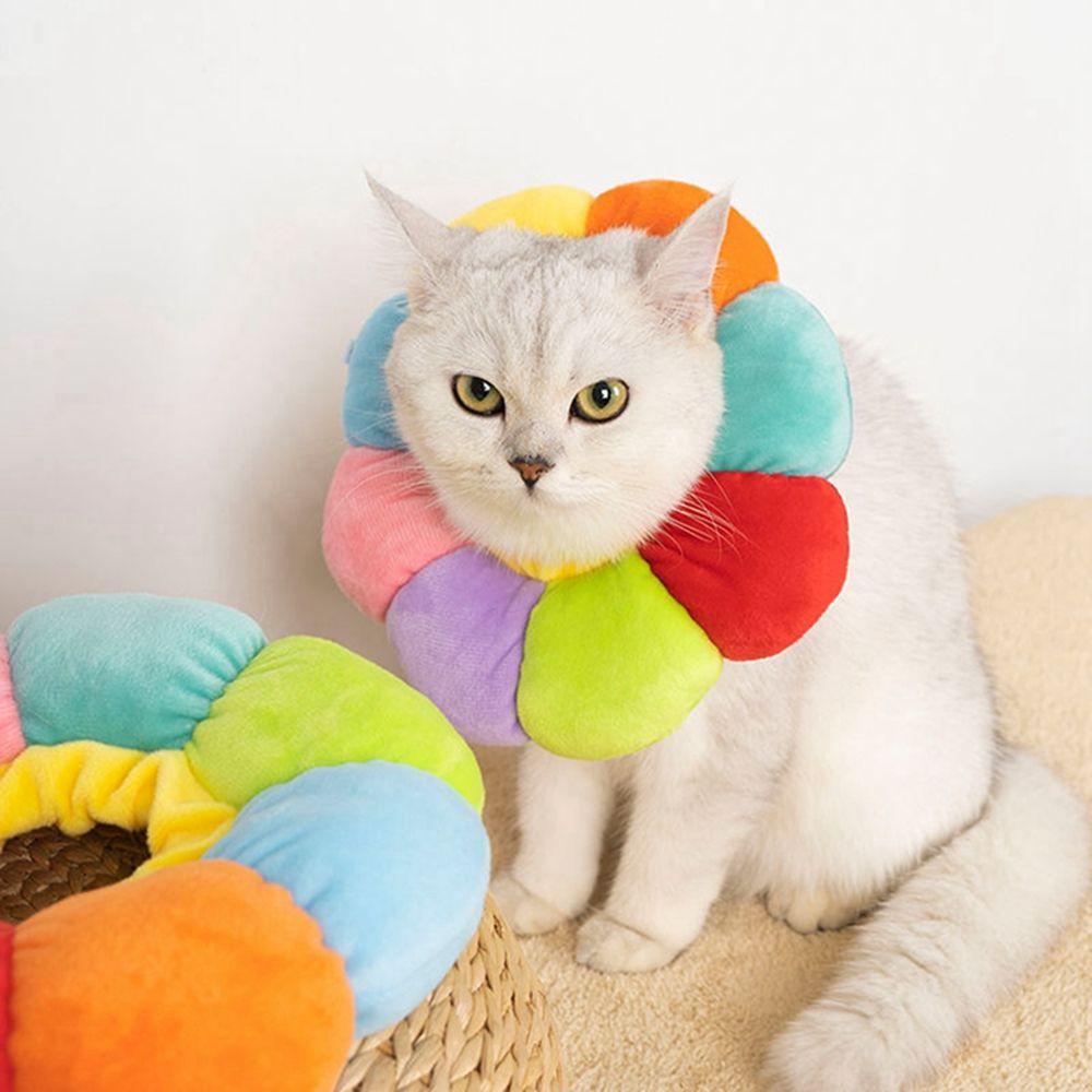 Collar Easy Wear Healing Headgear Cat Collar Elizabethan Collar Pet Supplies Dog Accessories XS жёлтый
Collar Easy Wear Healing Headgear Cat Collar Elizabethan Collar Pet Supplies Dog Accessories XS жёлтый