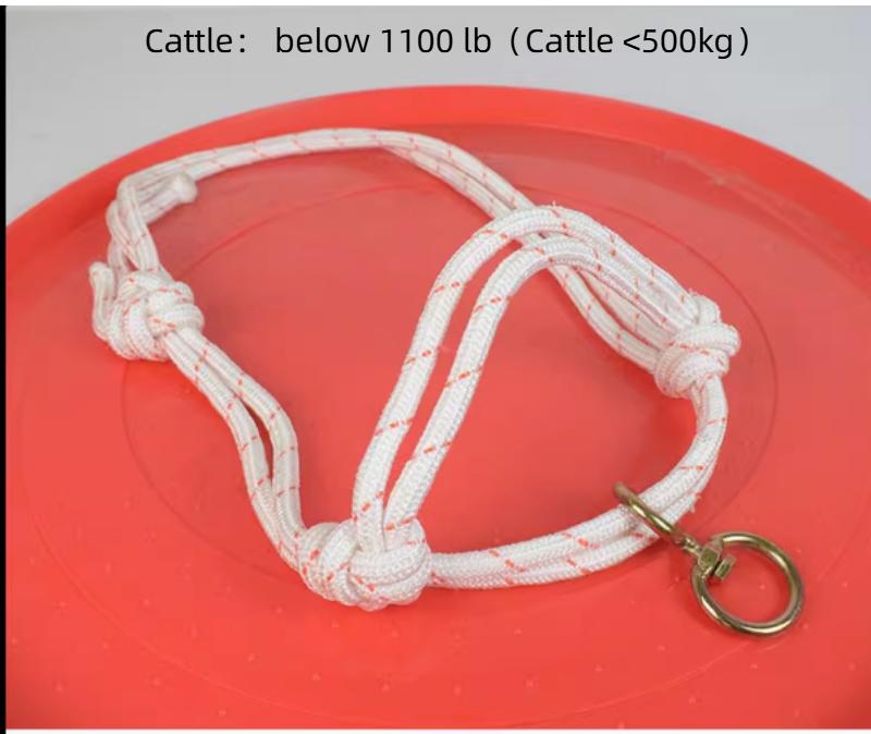 Heavy Duty Cattle Halter – Nylon Lead Rope Bridle for Cow & Bull Control, Farm Livestock Equipment
Heavy Duty Cattle Halter – Nylon Lead Rope Bridle for Cow & Bull Control, Farm Livestock Equipment