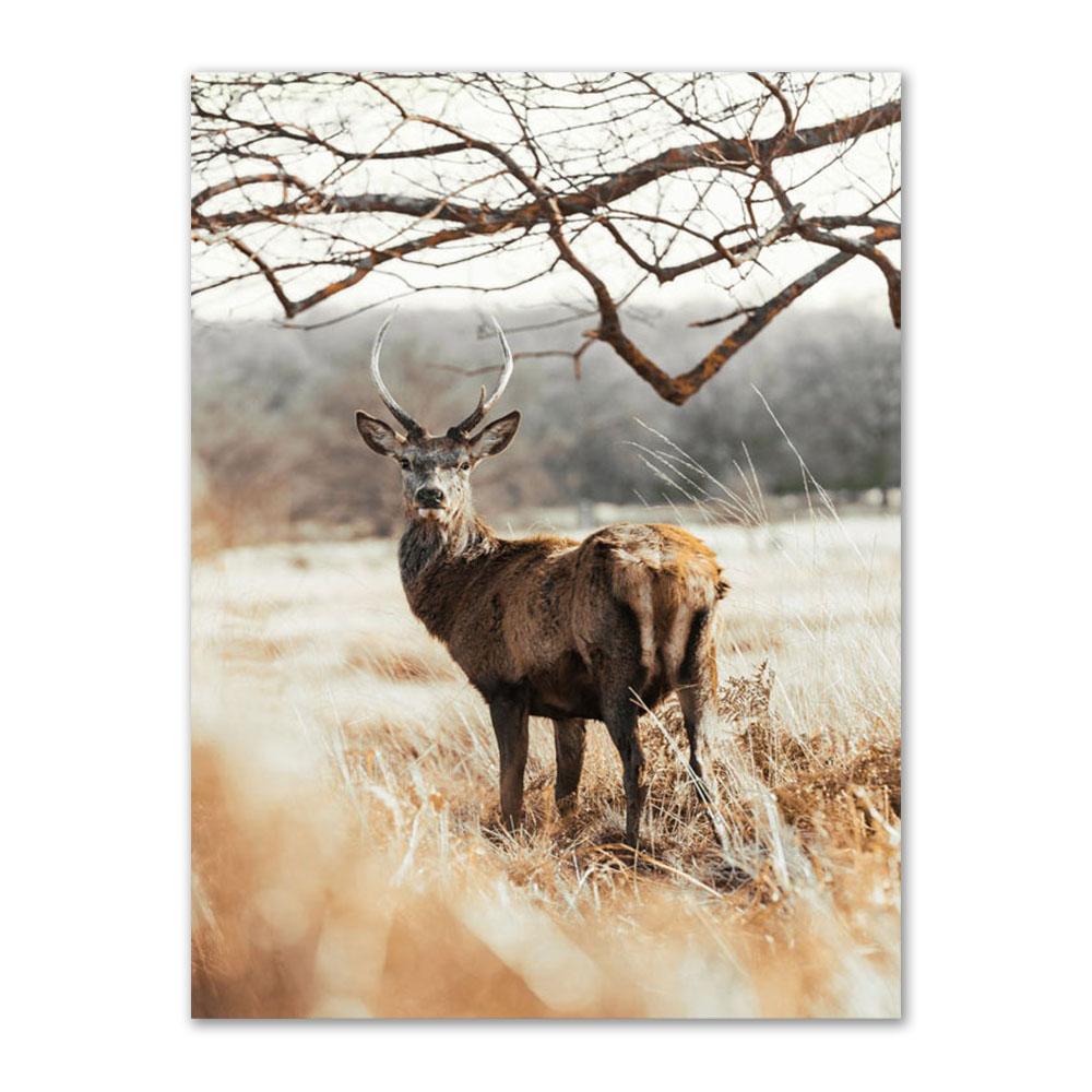 Осенний лес, настенная живопись, деревянный олень, хризантемы, постеры и принты, настенные панно, холст, живопись для гостиной, домашний декор 21x30cm No Frame
Осенний лес, настенная живопись, деревянный олень, хризантемы, постеры и принты, настенные панно, холст, живопись для гостиной, домашний декор 21x30cm No Frame