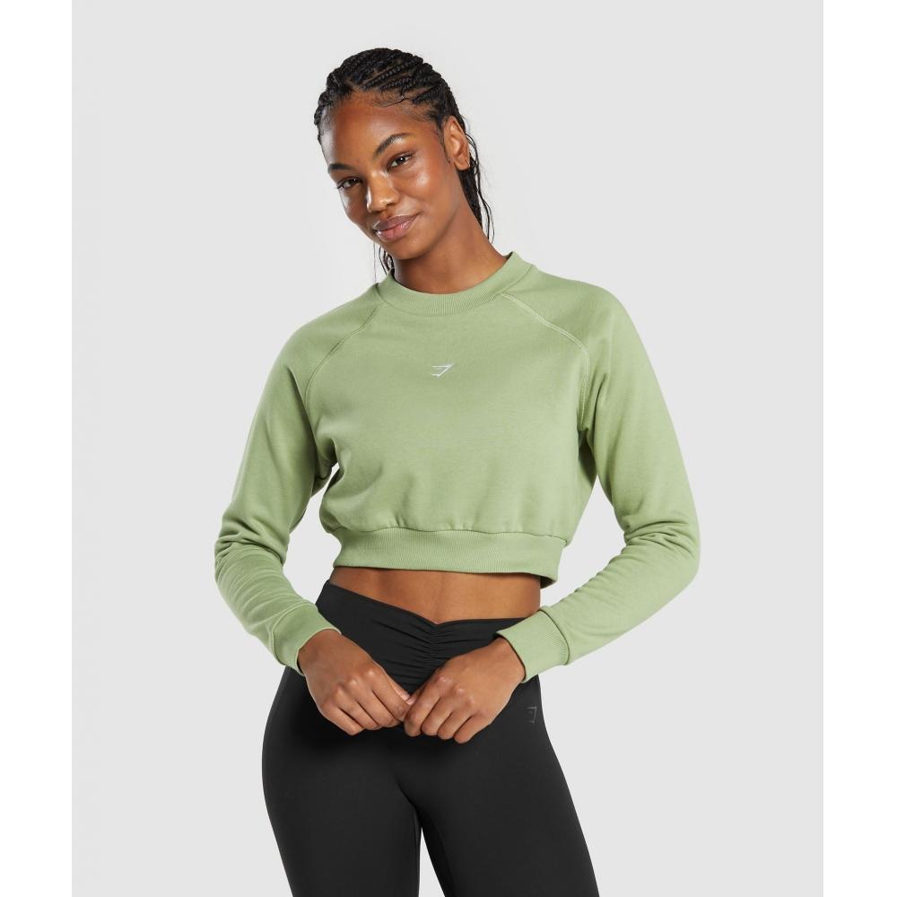 GYMSHARK Training Флисовый укороченный свитшот Natural Sage Green B7A7U ECJK
GYMSHARK Training Флисовый укороченный свитшот Natural Sage Green B7A7U ECJK