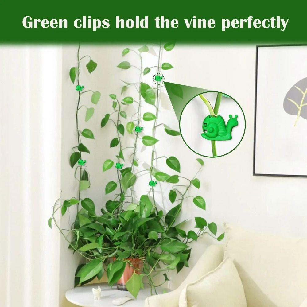 Стена для крепления растений Стена для крепления лоз Кронштейн для растений Зажимы для прививки растений Крючки для держателей цветов зелёный
Стена для крепления растений Стена для крепления лоз Кронштейн для растений Зажимы для прививки растений Крючки для держателей цветов зелёный