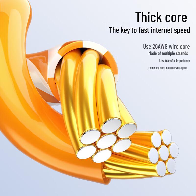 Biaze CAT6 Gigabit Ethernet Cable
Biaze CAT6 Gigabit Ethernet Cable