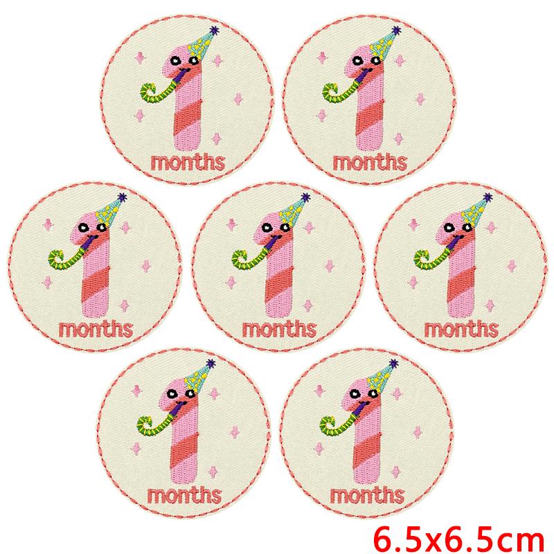 10pcs Wholesale Cartoon Number December Embroidered Patches Round Shape Patch Iron On Patches For Clothing Sew Applique Decor
10pcs Wholesale Cartoon Number December Embroidered Patches Round Shape Patch Iron On Patches For Clothing Sew Applique Decor