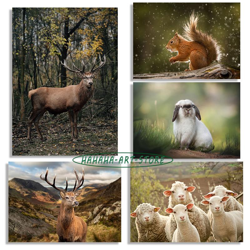 Wildlife Photography Animals Deer Fox Poster Canvas Printing Wild Animals Wall Decor Home Room Animal Deer Wall Aesthetic Decor 21cm×30cm NoFrame
Wildlife Photography Animals Deer Fox Poster Canvas Printing Wild Animals Wall Decor Home Room Animal Deer Wall Aesthetic Decor 21cm×30cm NoFrame
