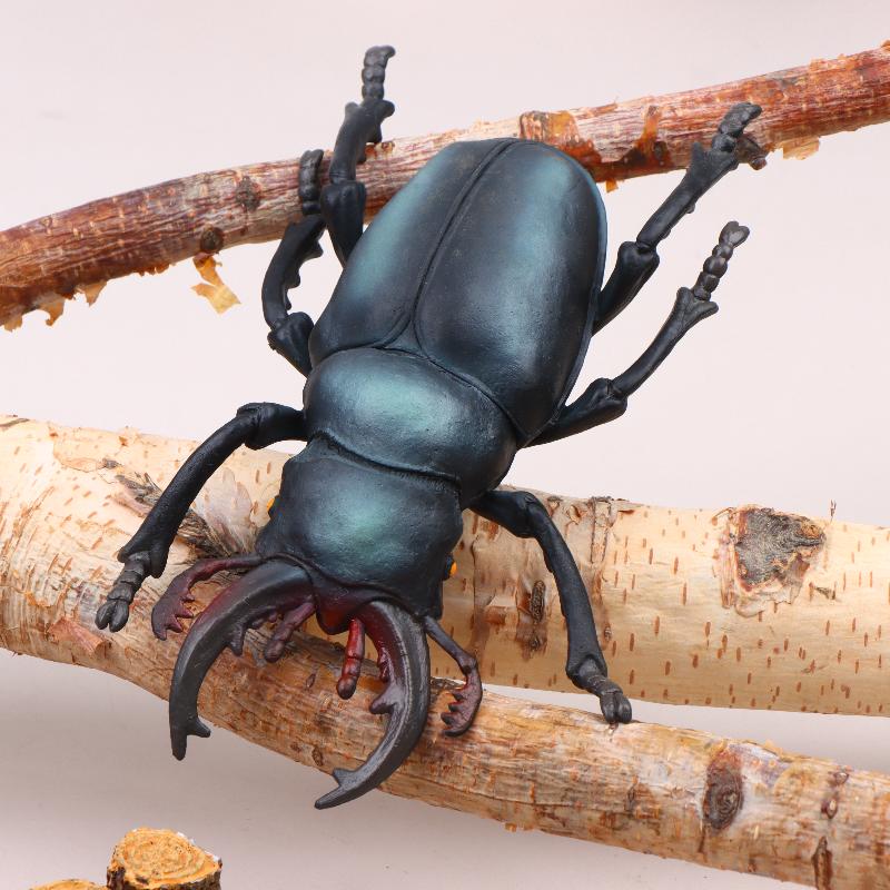 17Cm Realistic Insect Animal Model Toys Ant Spider Scorpion Beetle Dragonfly Simulation Figures For Kid Educational Learning Toy Stag beetle 18CM
17Cm Realistic Insect Animal Model Toys Ant Spider Scorpion Beetle Dragonfly Simulation Figures For Kid Educational Learning Toy Stag beetle 18CM