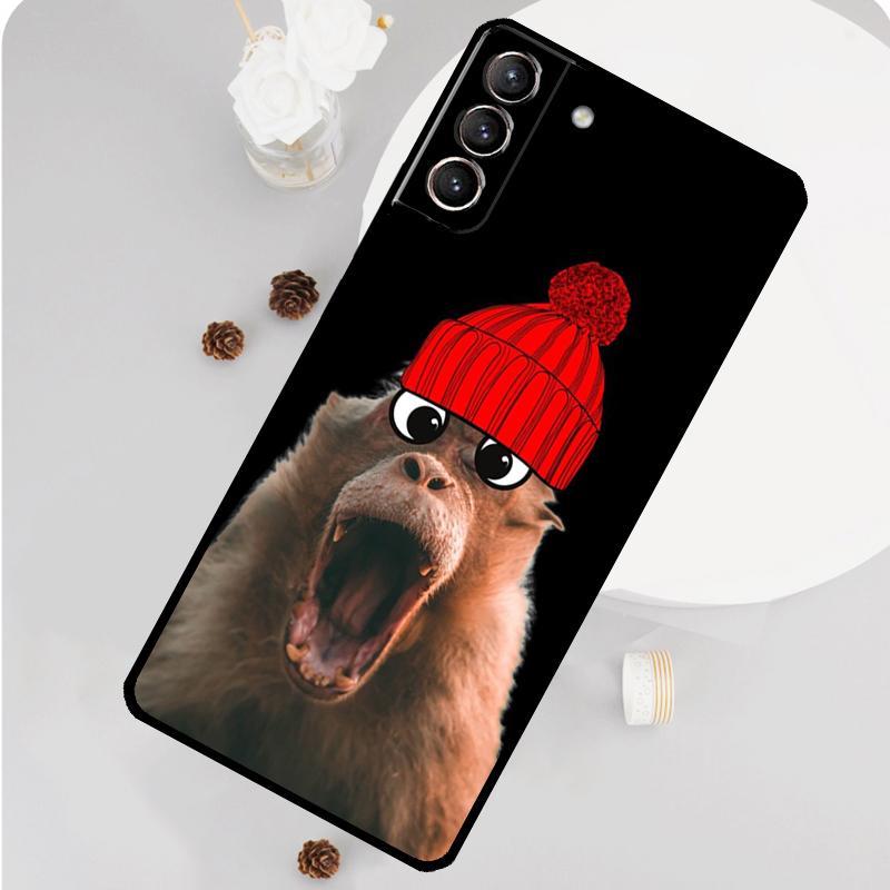 Monkey Sipping Capri Meme Phone Case For Samsung Galaxy S26 S23 Ultra S20 S21 S22 S24 S25 Plus S10 S25 FE Funda Cover For Galaxy S10
Monkey Sipping Capri Meme Phone Case For Samsung Galaxy S26 S23 Ultra S20 S21 S22 S24 S25 Plus S10 S25 FE Funda Cover For Galaxy S10
