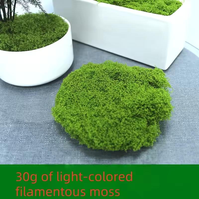 30/50/100g Green Fake Moss DIY Crafts Grass Artificial Moss Preserved Moss Green Plant Home Garden Decor Landscape Floral DIY
30/50/100g Green Fake Moss DIY Crafts Grass Artificial Moss Preserved Moss Green Plant Home Garden Decor Landscape Floral DIY