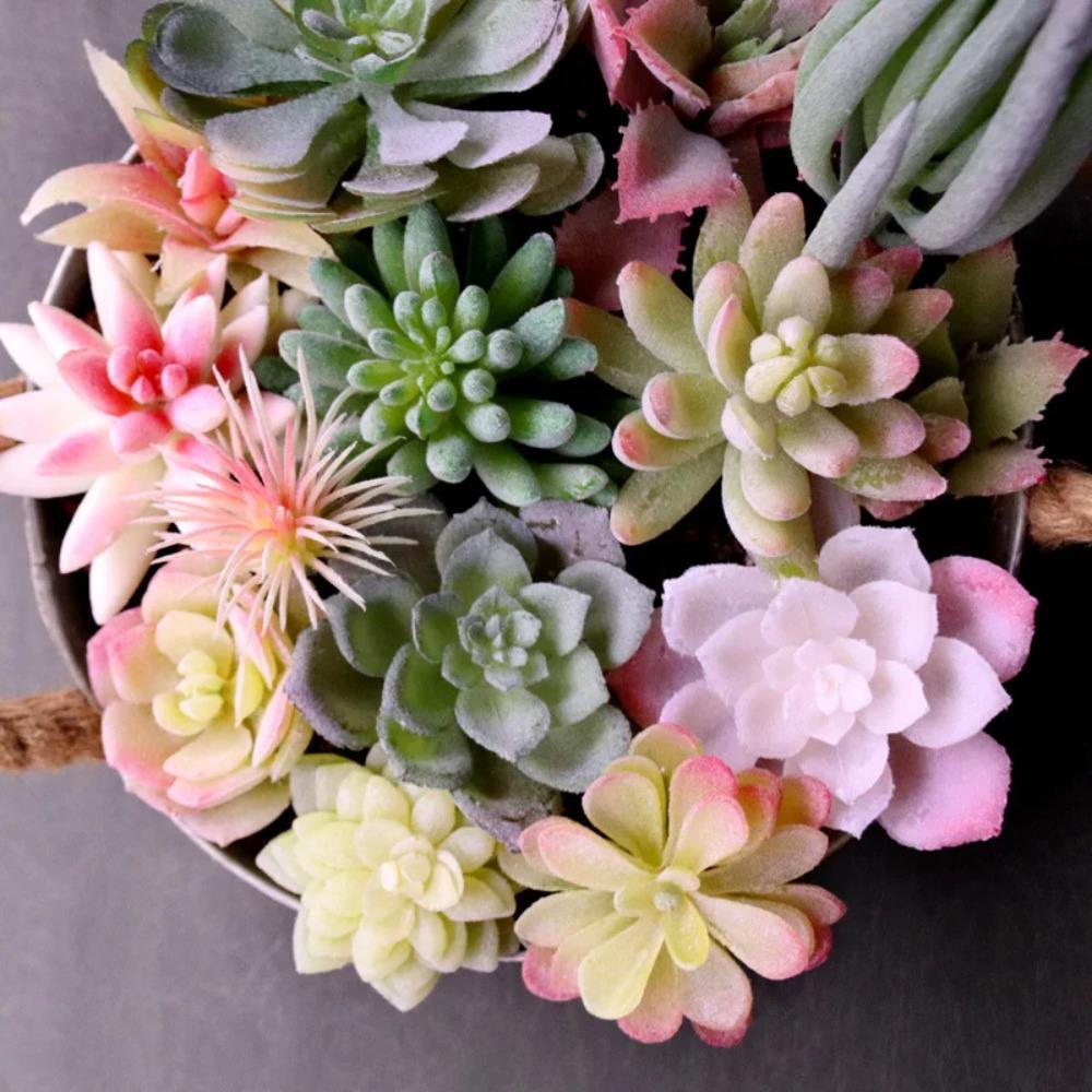 Artificial Succulents Plants White Pink Green Plastic Fake Plants Landscape Bonsai plantas artificiales Home Garden Decoration
Artificial Succulents Plants White Pink Green Plastic Fake Plants Landscape Bonsai plantas artificiales Home Garden Decoration