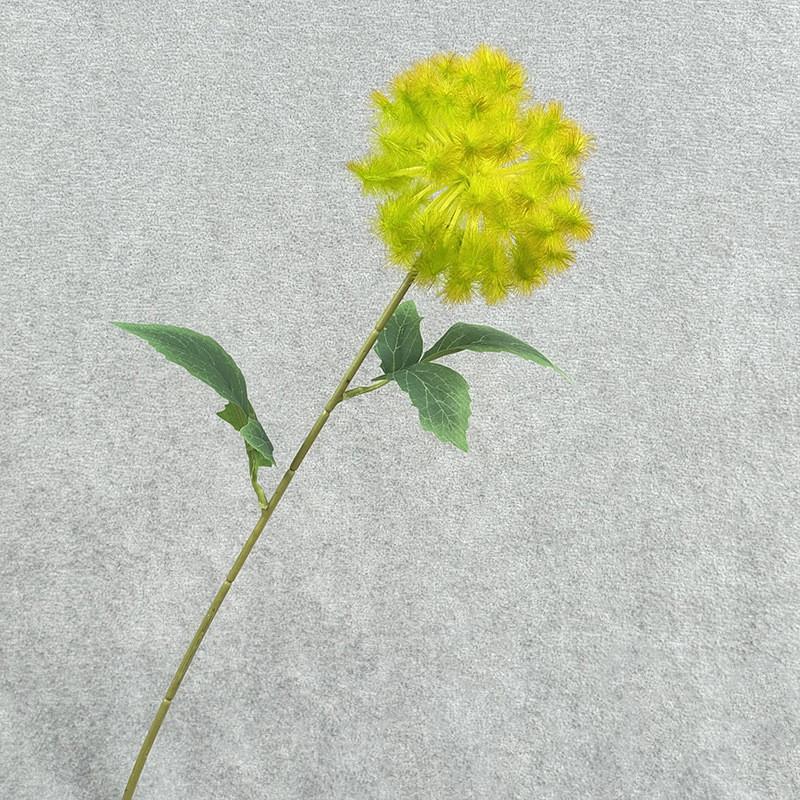 Realistic Taraxacum Mongolicum Branch Faux Flower For Home Interior Decor Photography Prop AutumnGreen
Realistic Taraxacum Mongolicum Branch Faux Flower For Home Interior Decor Photography Prop AutumnGreen